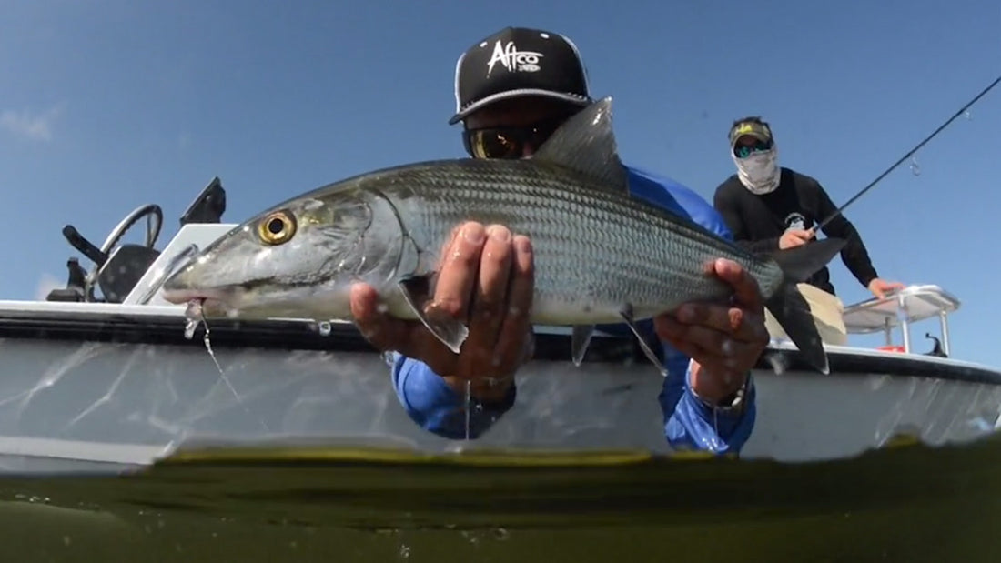 SURFACE TENSION: BONEFISH